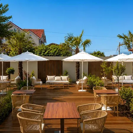 Hotel Agave